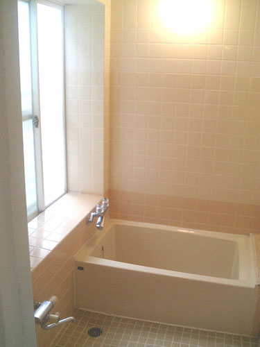 ���ÏZ�� > �ΐ쌧�����s�������@�o�X���[���ʐ^