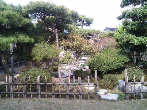 ���Õ��� > �ΐ쌧���ق��s���� �뉀